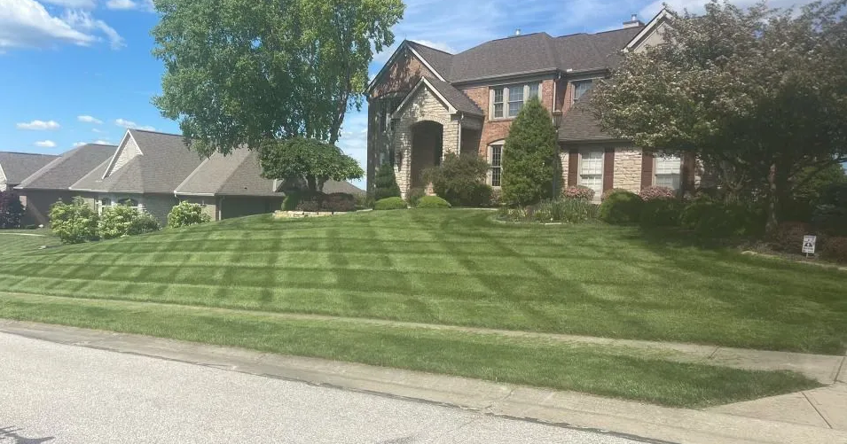 Prime Cut Lawn & Landscaping Revolutionizes Burlington Lawn Care and Commercial Landscaping in Kentucky